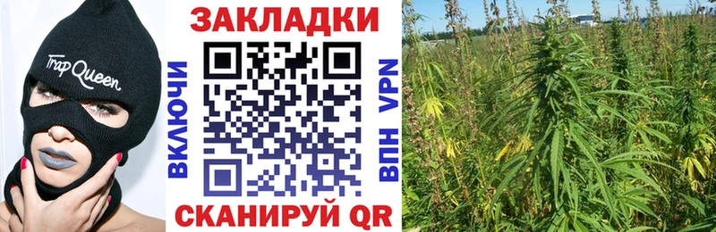 Псилоцибиновые грибы Макушино