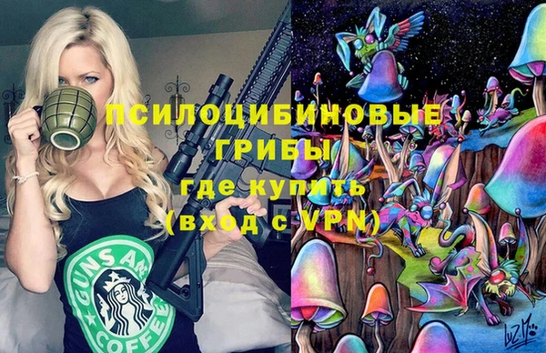 прущие грибы Алексеевка