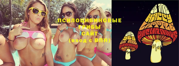 ешки Алексин