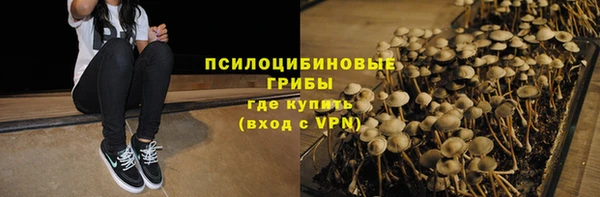прущие грибы Алексеевка